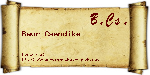 Baur Csendike névjegykártya